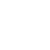 BOREK